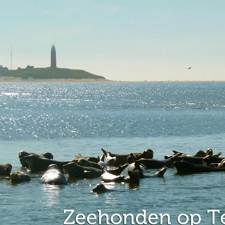 In Friesland Near The Coast 公寓 *