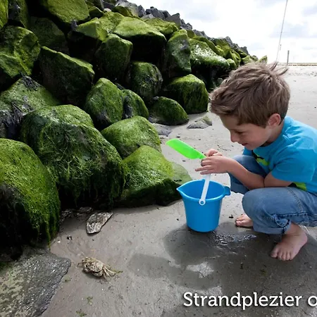 In Friesland Near The Coast 公寓 *