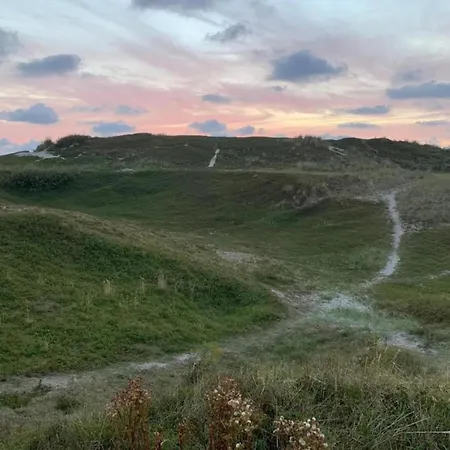 In Friesland Near The Coast * Westermient