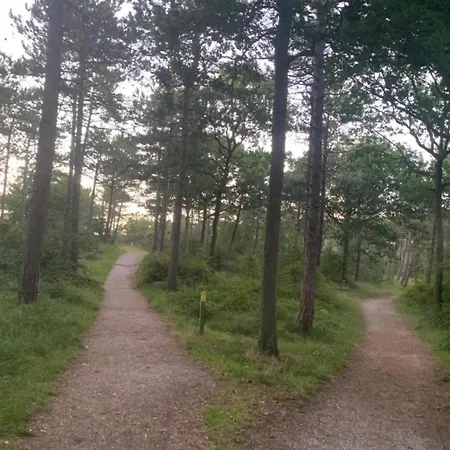 In Friesland Near The Coast 公寓 *
