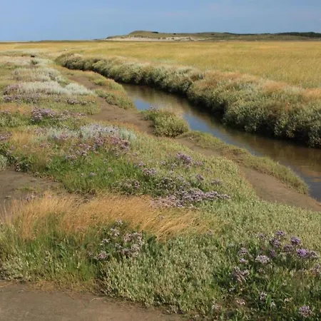 In Friesland Near The Coast