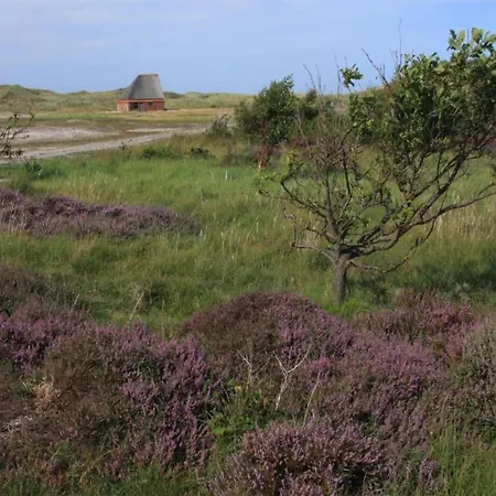 In Friesland Near The Coast *