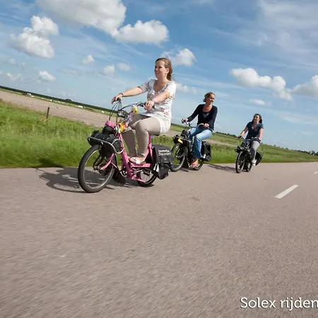 In Friesland Near The Coast